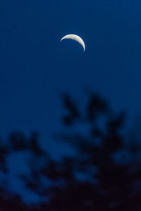 Low angle view of moon in clear blue sky at night