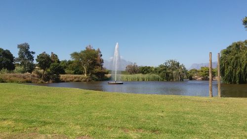 View of palm trees at riverbank