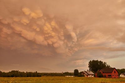 Scenic view of field against sky during sunset