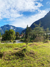 Scenic view of field against sky