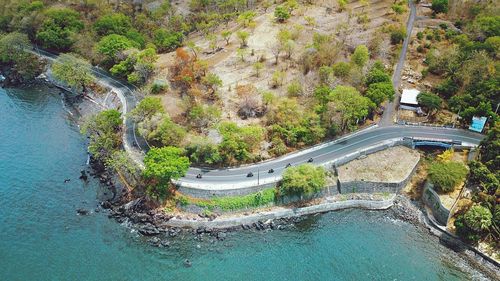 High angle view of river amidst trees