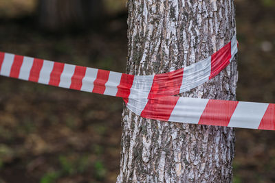Warning tape on tree in park