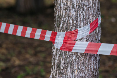 Close-up of wooden post