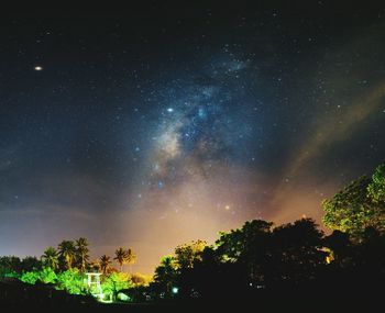 Low angle view of trees against sky at night