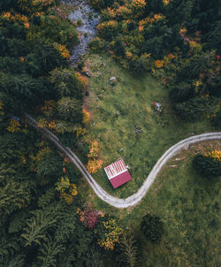 Directly above view of landscape