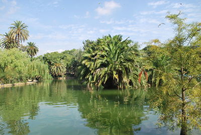 Scenic view of lake and trees against sky