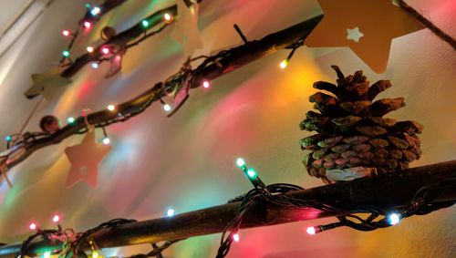 Low angle view of christmas tree at night