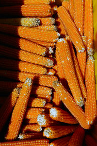 High angle view of corns at market