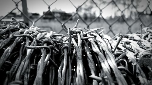 Close-up of barbed wire