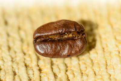 Close-up of roasted coffee bean on fabric