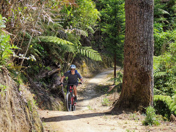 Person riding mtb mountainbike bicycle in forest