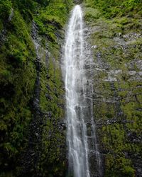 View of waterfall in forest