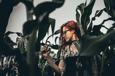 Young woman in high corn leaves