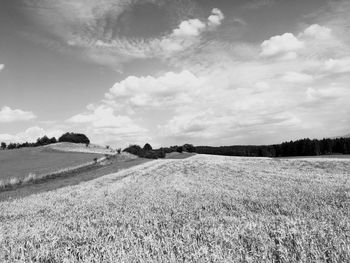 Scenic view of field against sky