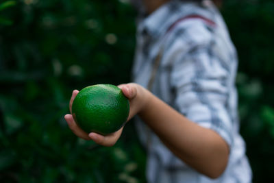 Midsection of person holding lime