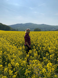 Yellow fields in my beautiful home 