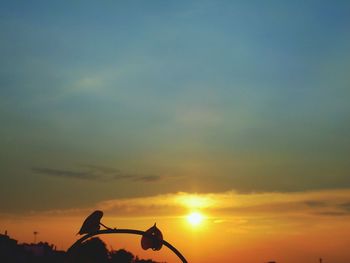 Close-up of silhouette plants against sky during sunset