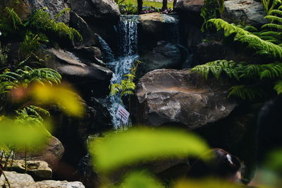 Stream flowing through rocks in forest