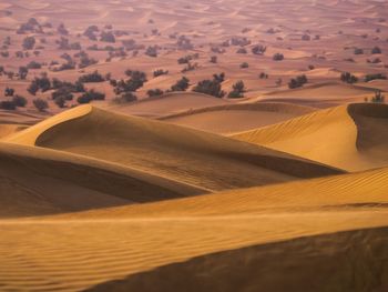 Scenic view of landscape