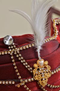 Close-up of feather