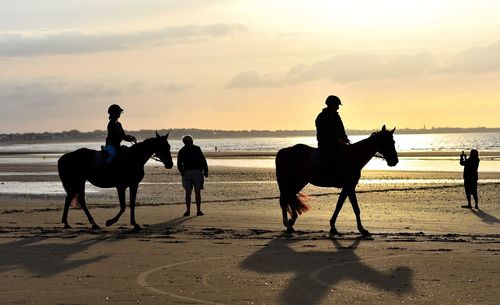 Silhouette of people riding horse at beach against sky during sunset