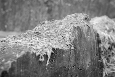 Close-up of rope on rock