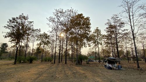 Panoramic shot of trees on field against sky