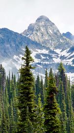 Scenic view of snow covered mountains against sky