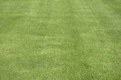 Full frame shot of field