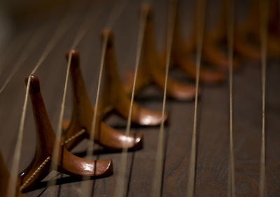 Close-up of string instrument