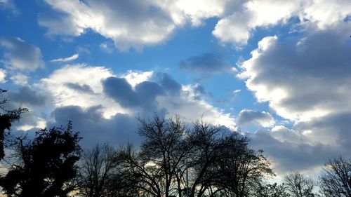 Low angle view of tree against cloudy sky