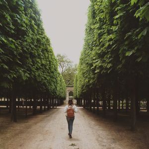 Rear view of woman walking on footpath amidst trees