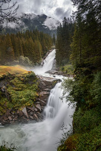 Scenic view of waterfall in forest