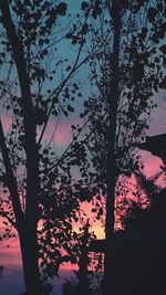 Silhouette of trees against sky at sunset