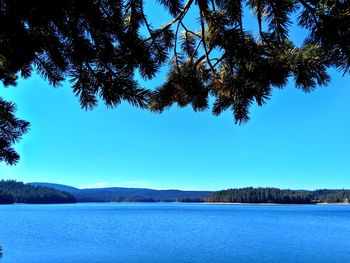 Scenic view of lake against clear blue sky