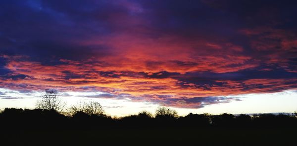 Silhouette trees against dramatic sky during sunset