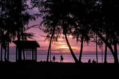 Silhouette palm trees on beach against sky during sunset