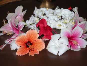 Close-up of flowers