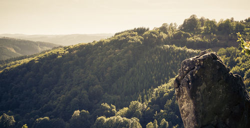 Scenic view of tree mountains against sky