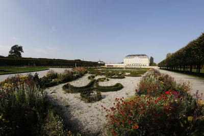 View of flowering plants by river against clear sky