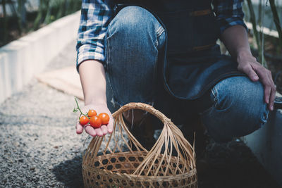 Midsection of man holding ice cream in basket