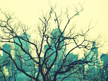 Low angle view of tree against sky