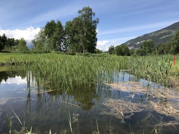 Scenic view of lake against sky