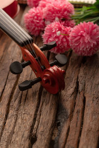 High angle view of red flowering plant on table