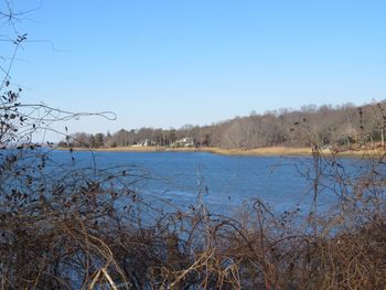 Scenic view of lake against clear sky during winter