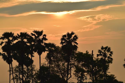 Low angle view of silhouette trees against sky during sunset