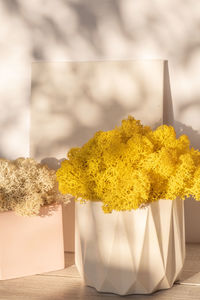 Close-up of yellow flowering plant on table