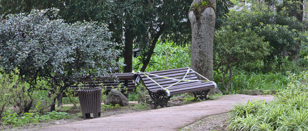 Empty bench in park