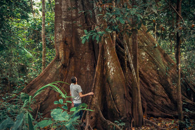 Rear view of man standing by tree trunk in forest