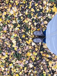 Low section of person standing on yellow autumn leaves